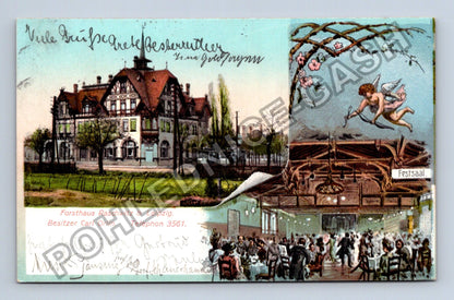 Pohlednice Německo Forsthaus Raschwitz b Leipzig (M42173)
