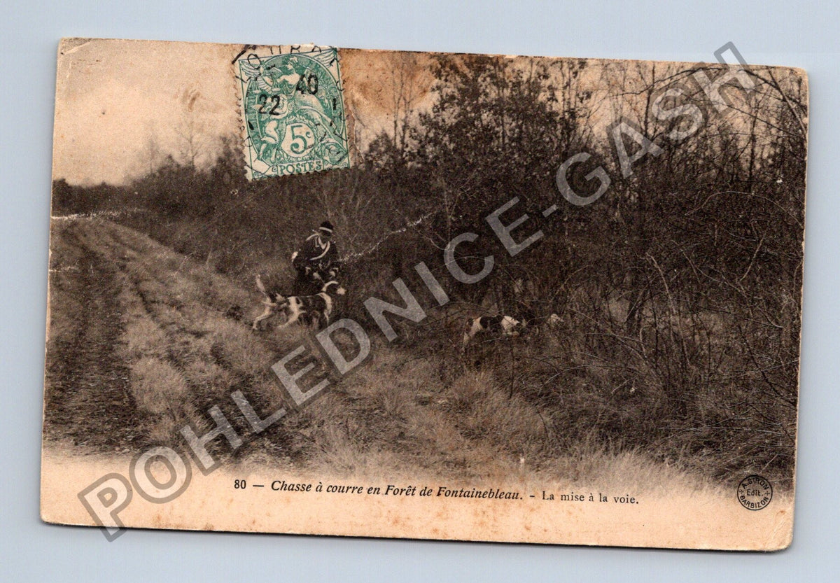 Pohlednice Francie Fontainebleau hon na lišku 1905 (M42178)