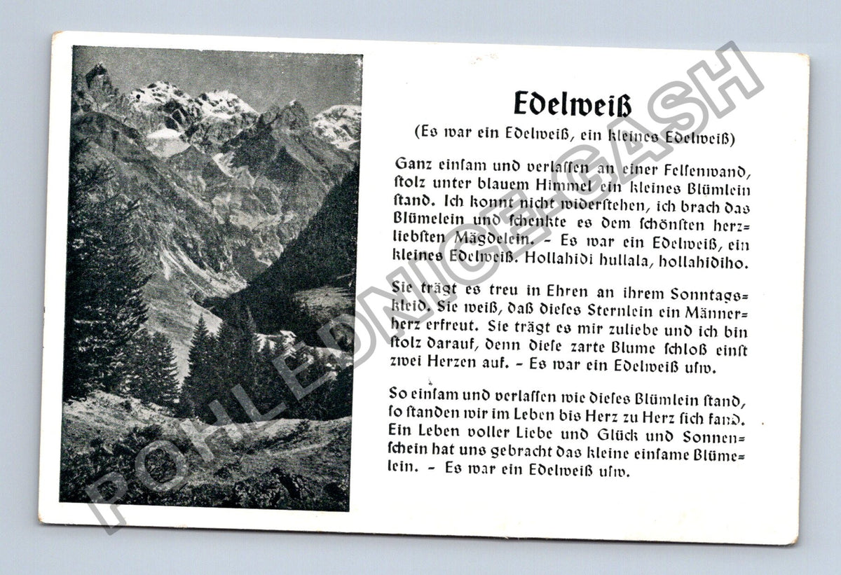 Pohlednice Německo Edelweiss horská krajina píseň (M42195)