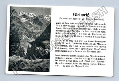 Pohlednice Německo Edelweiss horská krajina píseň (M42195)