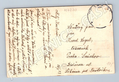 Pohlednice Praha pohled z Petřína 1931 starý motiv (M4220)