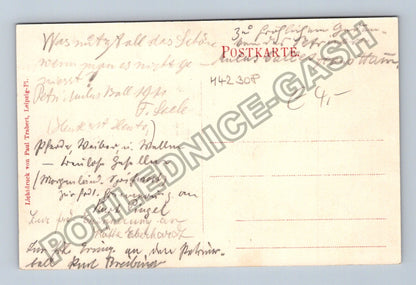 Pohlednice Německo Qulusball der Petrischule 1911 (M42308)