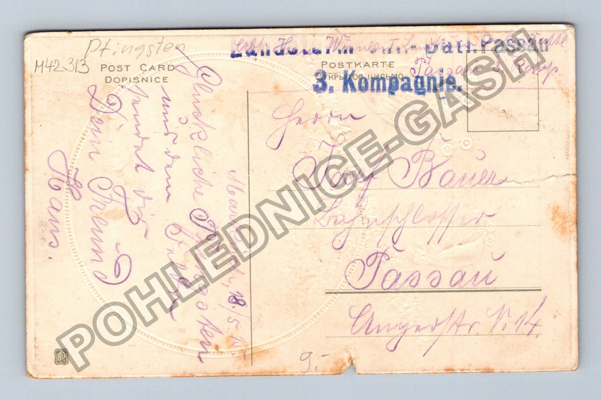 Pohlednice Německo Frohe Pfingsten brouci hrad 1915 (M42313)