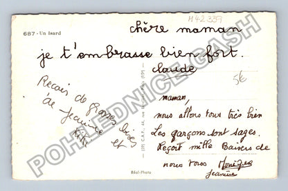 Pohlednice Francie kamzík hory (M42339)