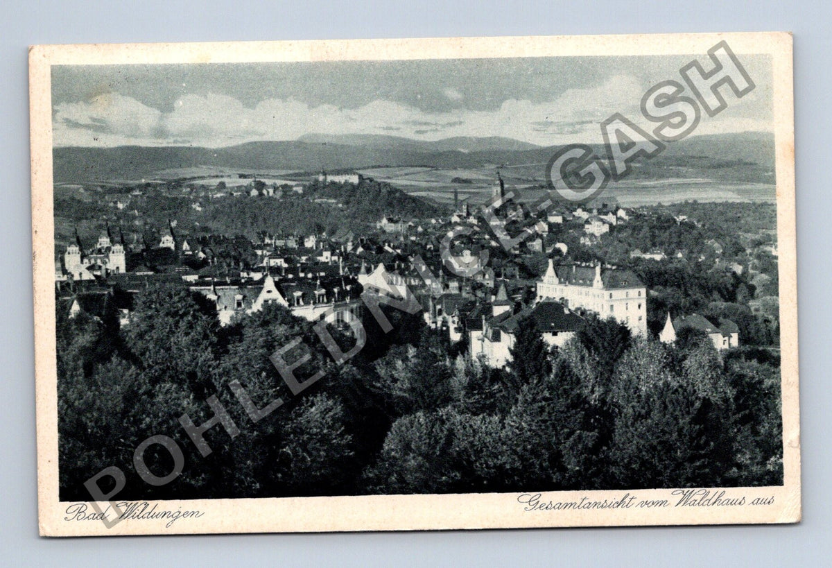 Pohlednice Německo Bad Wildungen Gesammtansicht Waldhaus (M42365)