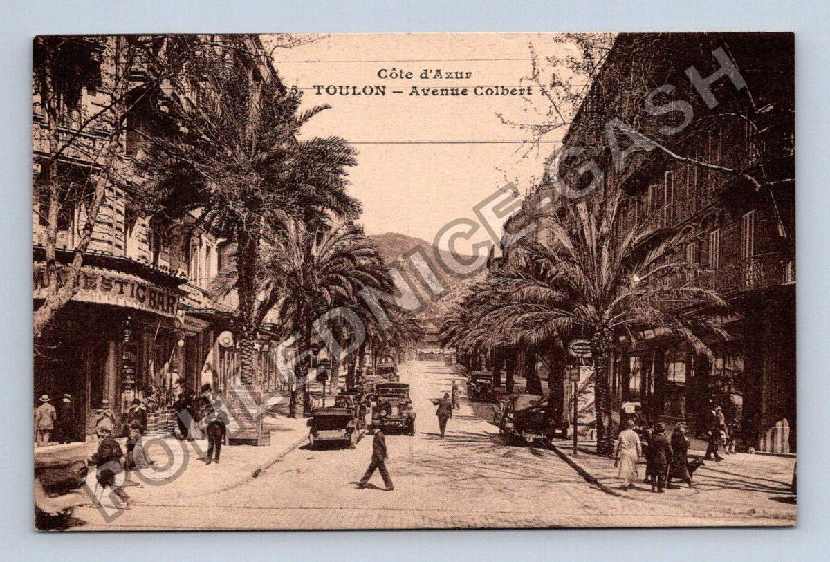 Pohlednice Francie Toulon Avenue Colbert (M42368)