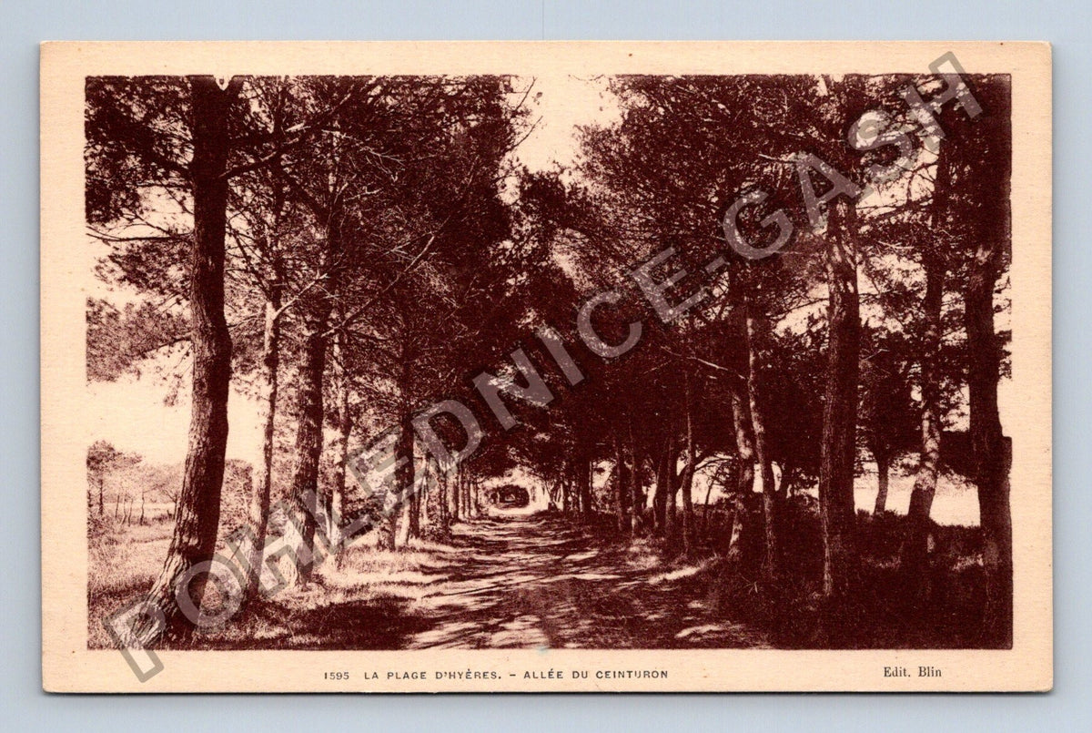 Pohlednice Francie Hyères La Plage dHyères Allée du Ceinturon (M42375)