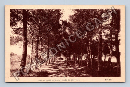 Pohlednice Francie Hyères La Plage dHyères Allée du Ceinturon (M42375)