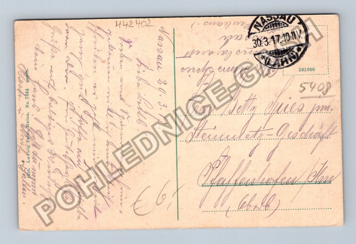 Pohlednice Německo Bad Nassau Totalansicht mit Burgberg 1910 (M42402)