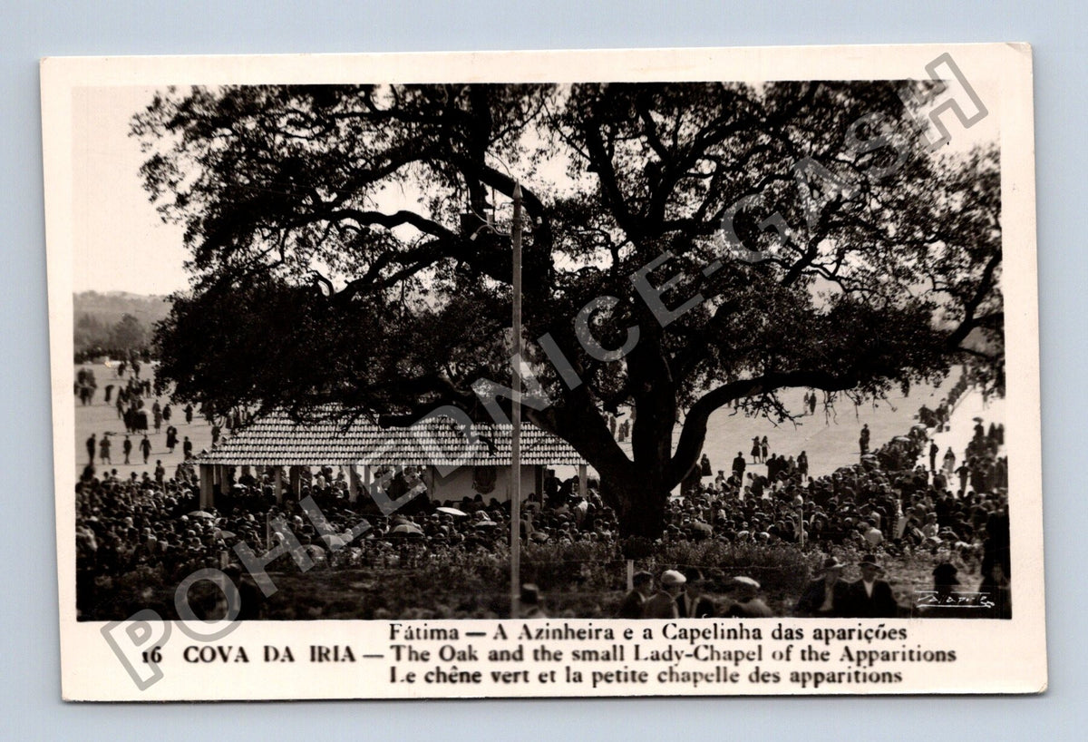 Pohlednice Portugalsko Fátima Cova da Iria Dub Kaple zjevení (M42414)