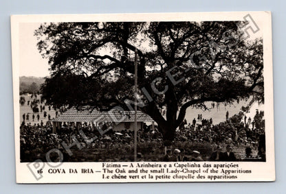 Pohlednice Portugalsko Fátima Cova da Iria Dub Kaple zjevení (M42414)
