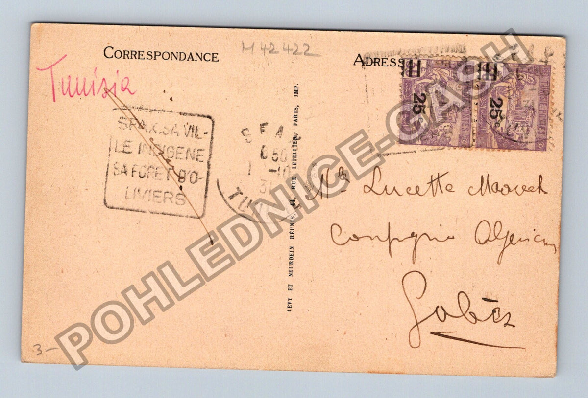 Pohlednice Tunisko Gabes Město přes oázu (M42422)