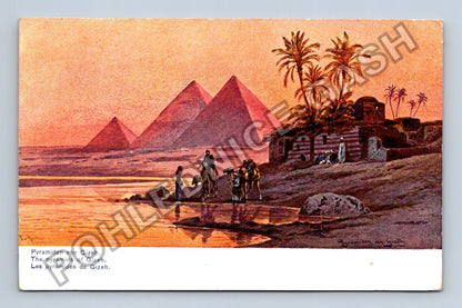 Pohlednice Egypt Gíza pyramidy velbloudi palmy (M42458)
