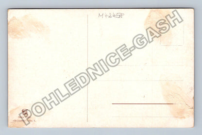 Pohlednice Egypt Gíza pyramidy velbloudi palmy (M42458)
