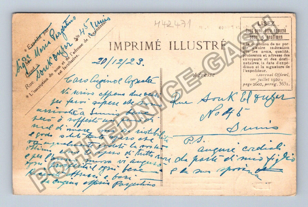 Pohlednice Tunis Porte de France 1923 (M42471)
