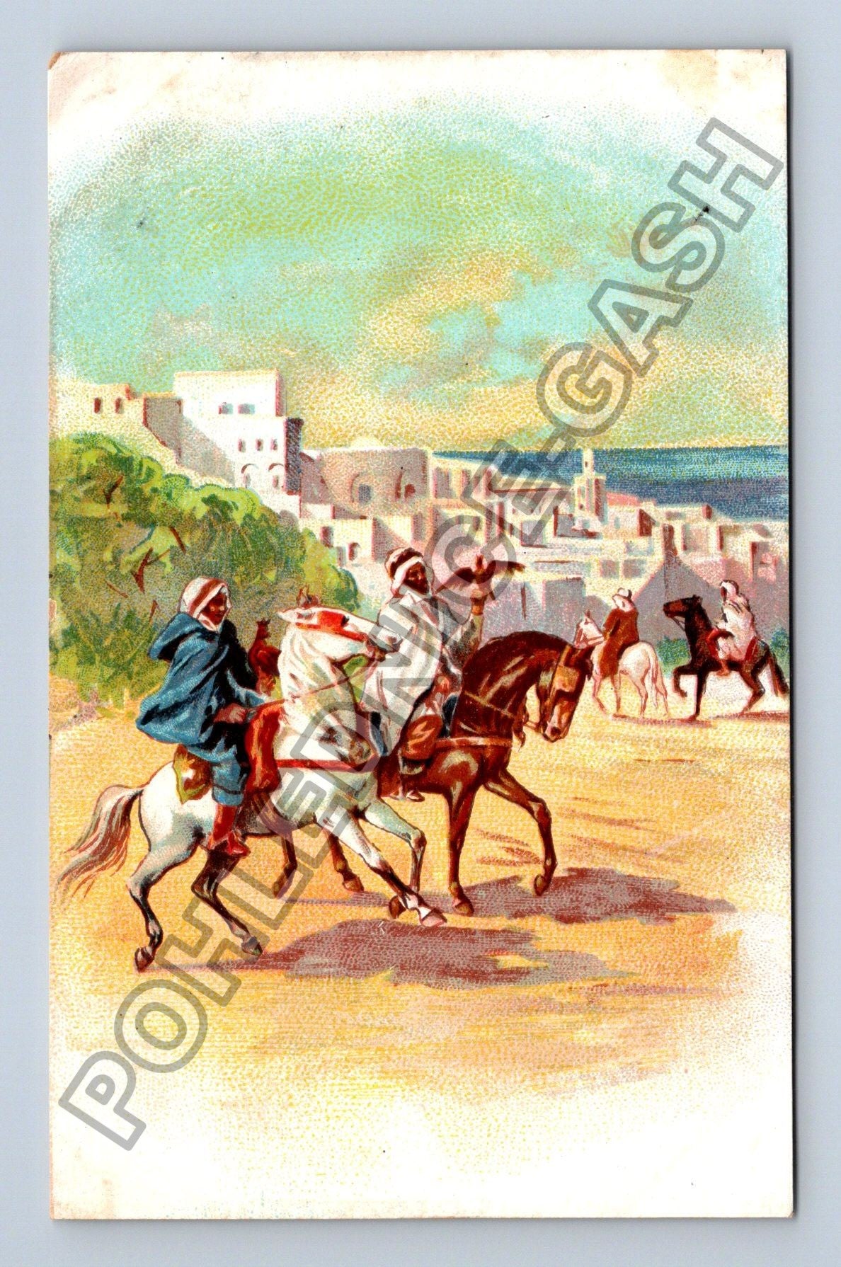 Pohlednice Afrika arabští jezdci s dravci město (M42518)