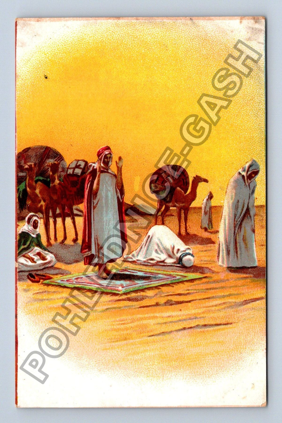 Pohlednice Afrika arabští muži modlitba velbloudi poušť (M42519)