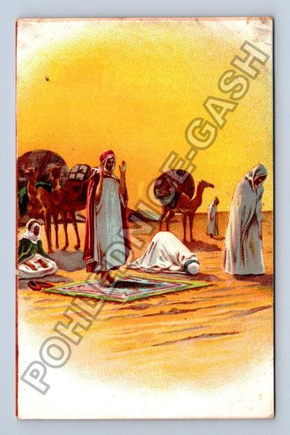 Pohlednice Afrika arabští muži modlitba velbloudi poušť (M42519)