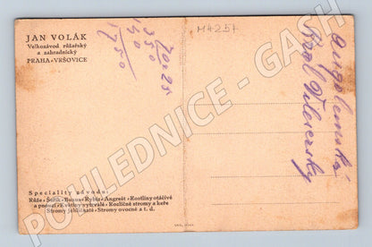 Pohlednice Praha Volákův růžový sad výstaviště (M4254)