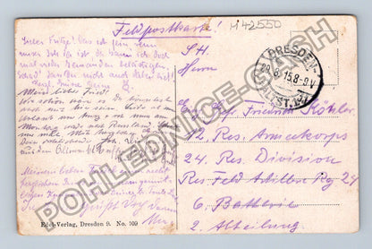 Pohlednice Německo Drážďany Königliches Schloss Stallhof 1915 (M42550)