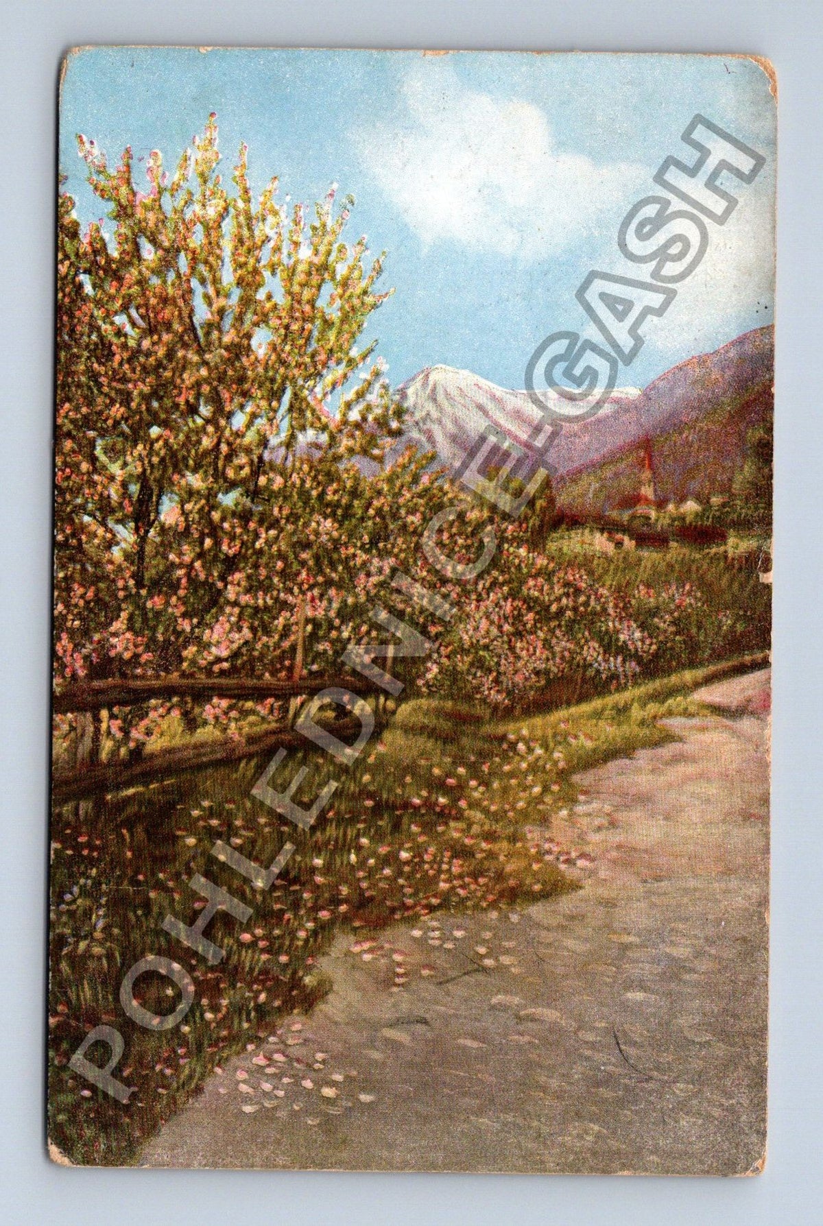 Pohlednice Rakousko horská krajina rozkvetlé stromy 1914 (M42554)