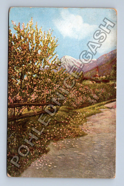 Pohlednice Rakousko horská krajina rozkvetlé stromy 1914 (M42554)
