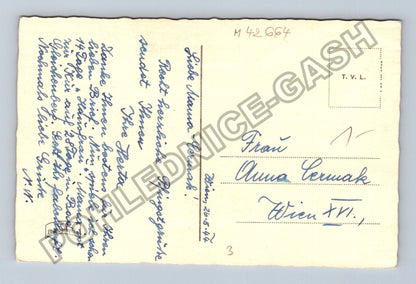 Pohlednice Rakousko Brouci na kvetoucích větvích Pfingsten (M42664)