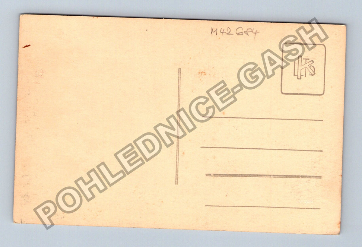 Pohlednice Rostlina s bobulemi (M42684)