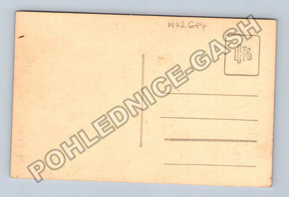 Pohlednice Rostlina s bobulemi (M42684)