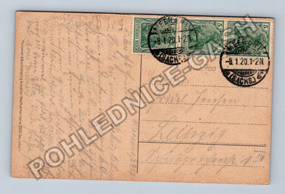 Pohlednice Německo Novoroční přání podzimní květy 1920 (M42700)