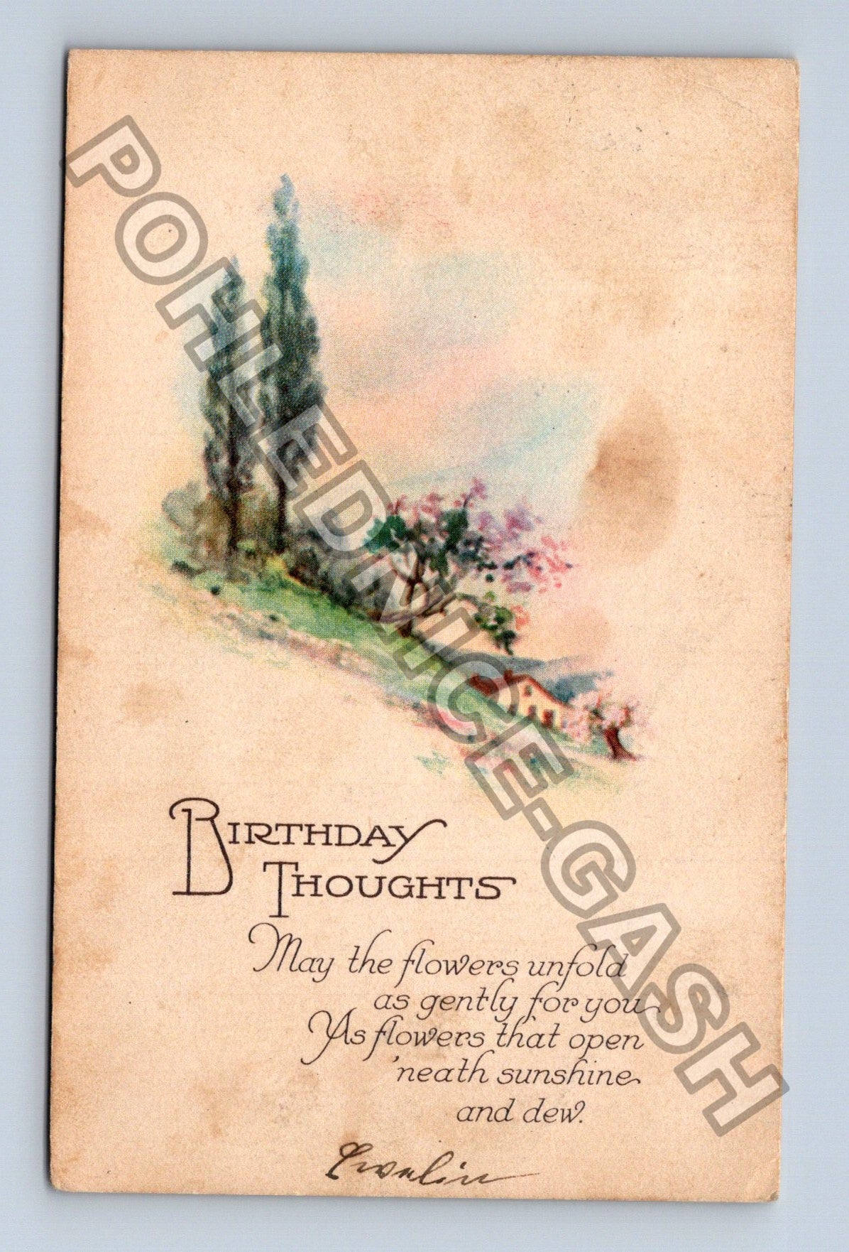 Pohlednice USA narozeninové přání s květinami a domem 1925 (M42722)