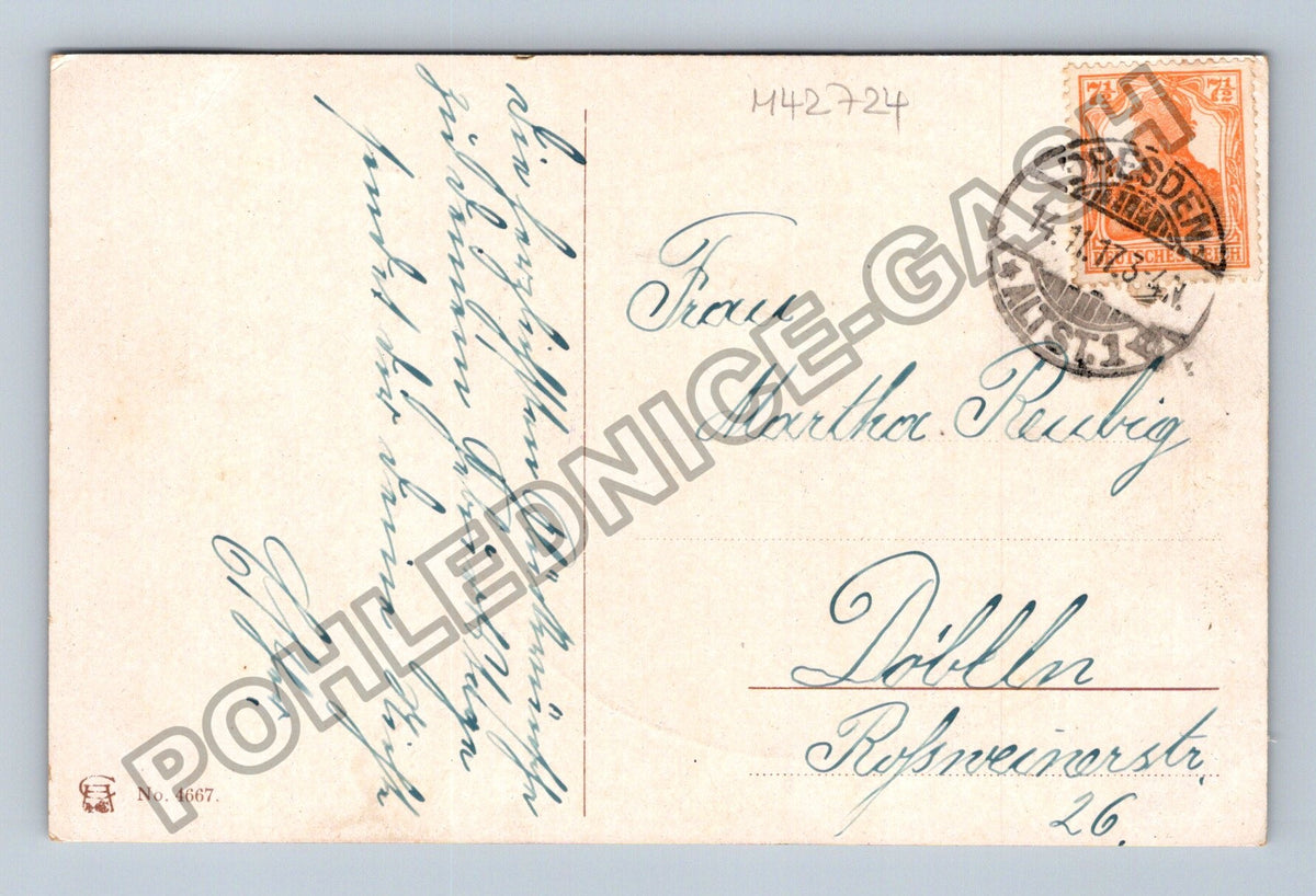 Pohlednice Německo květiny kytice k narozeninám 1905 (M42724)