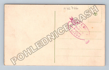 Pohlednice Francie Liège růže (M42726)