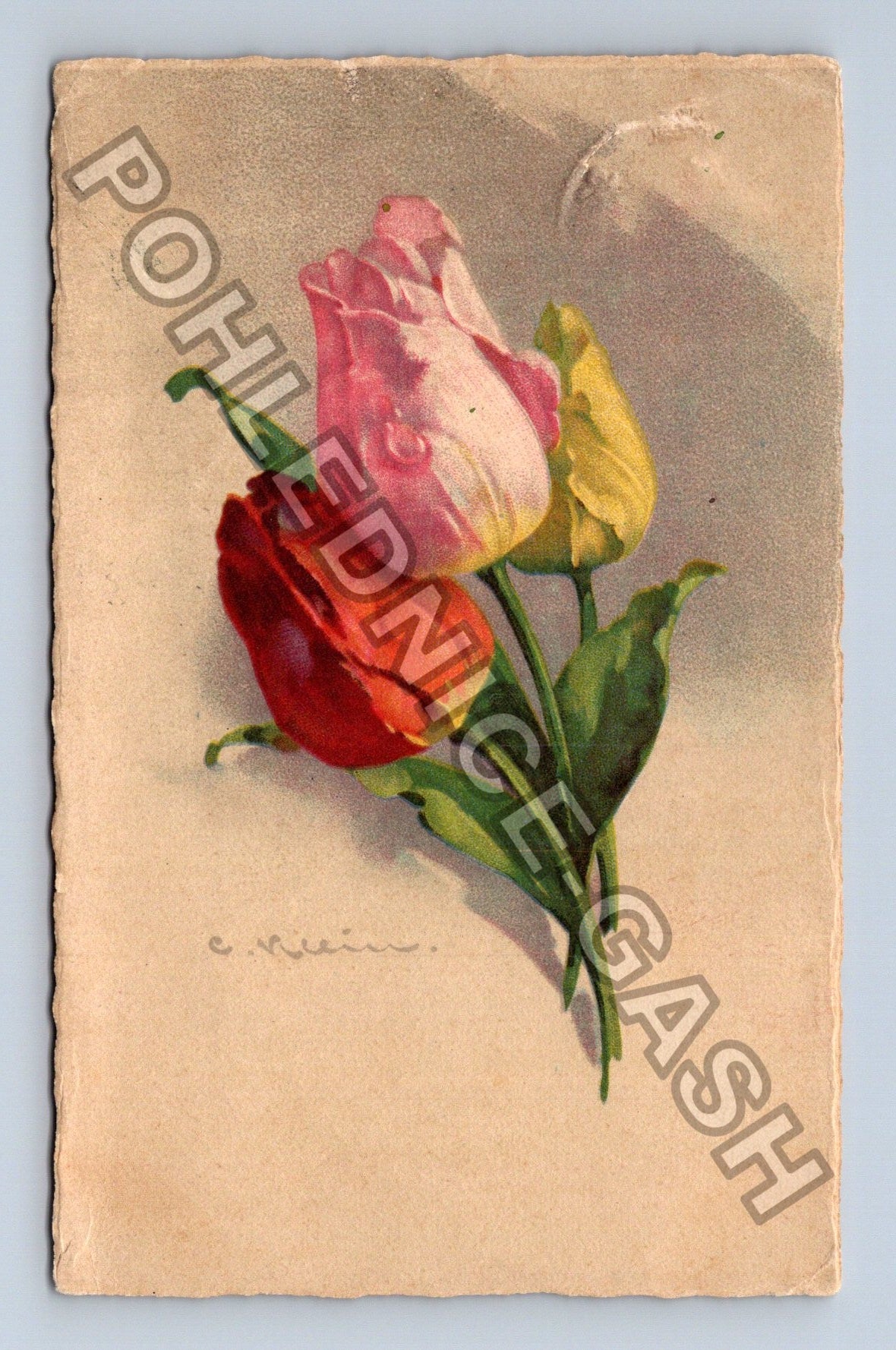 Pohlednice Belgie kytice tulipány (M42730)