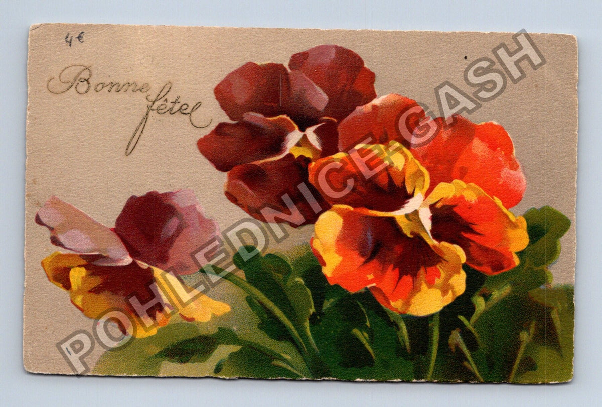 Pohlednice Francie macešky Bonne fête (M42734)