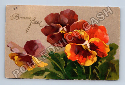 Pohlednice Francie macešky Bonne fête (M42734)