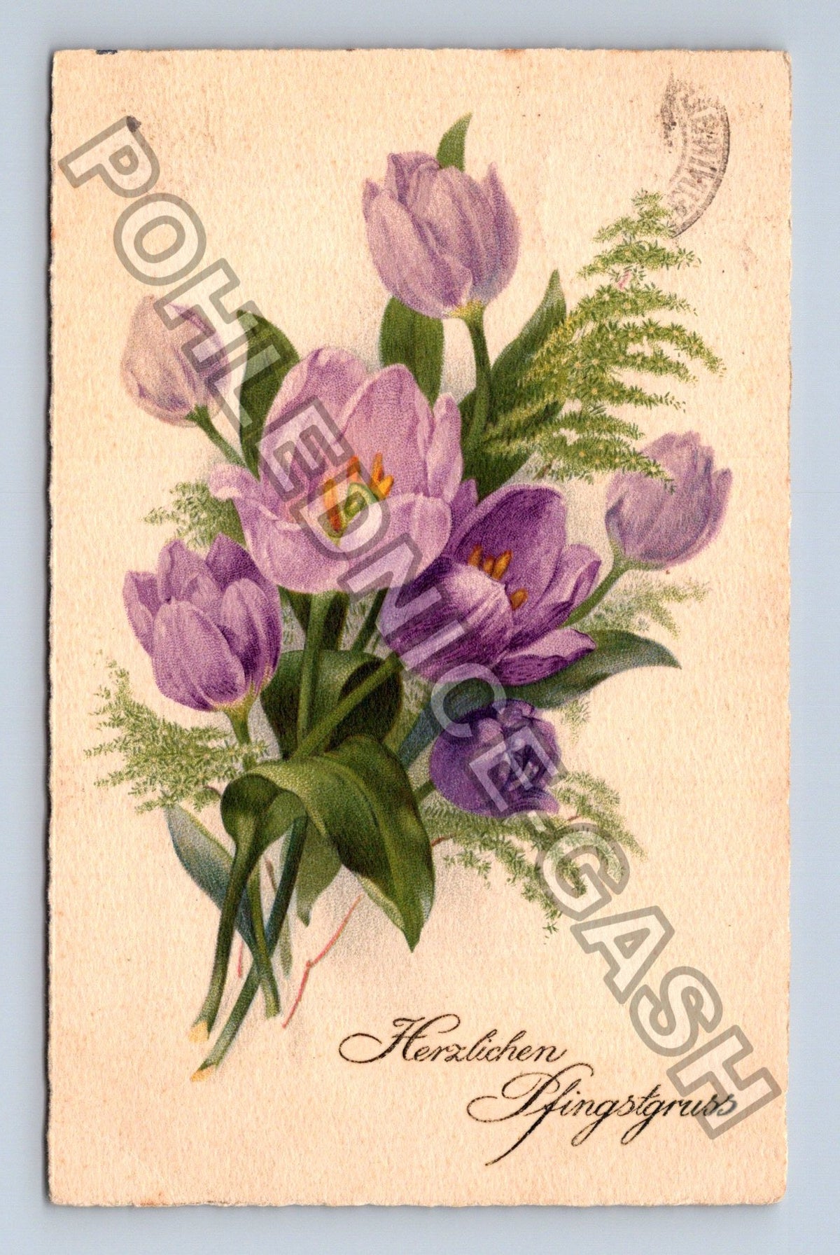 Pohlednice Německo kytice tulipány Velikonoce (M42743)