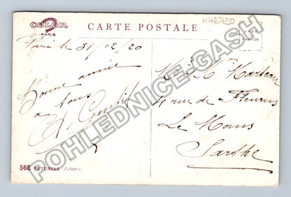 Pohlednice Francie Petunie květiny 1920 (M42750)
