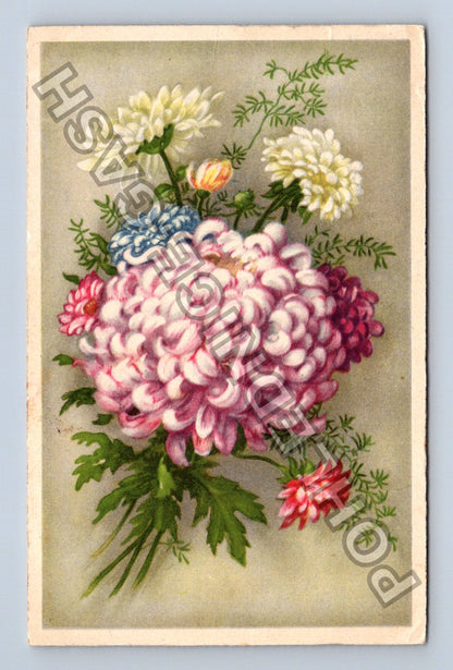 Pohlednice Německo Kytice chryzantém 1908 (M42754)