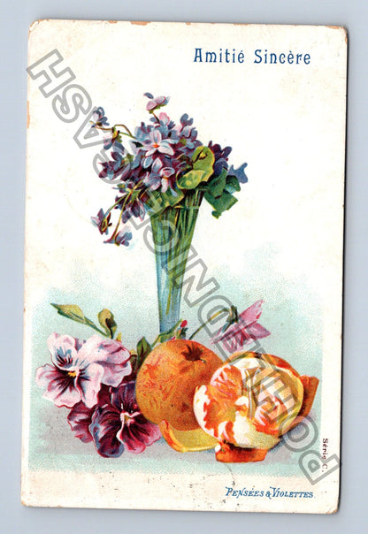 Pohlednice Belgie květiny ovoce Amtié Sincère 1906 (M42774)