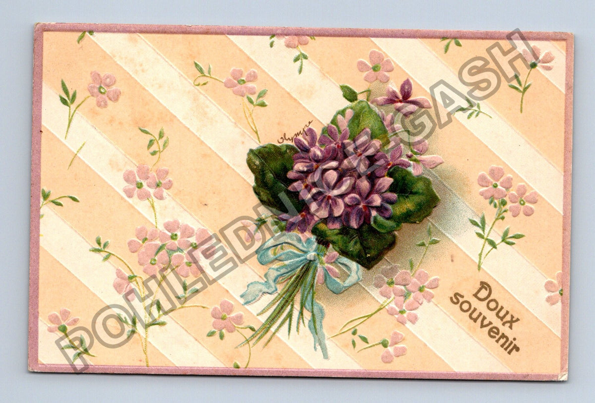 Pohlednice Belgie kytice fialek Doux souvenir 1907 (M42777)