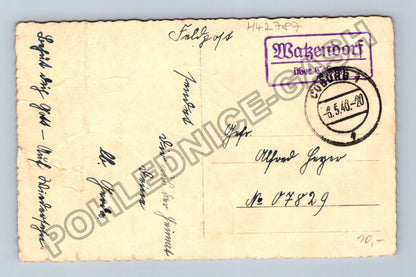 Pohlednice Srdečné svatodušní pozdravy chrousti Německo 1940 (M42787)