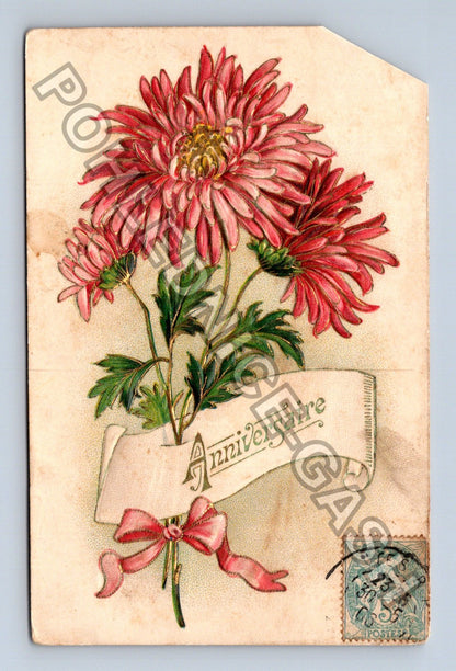 Pohlednice Francie Anniversaire chryzantémy (M42791)