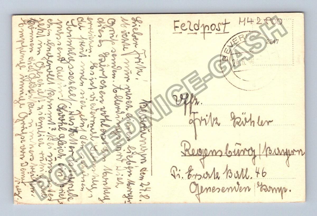 Pohlednice Německo růže Feldpost 1946 (M42800)