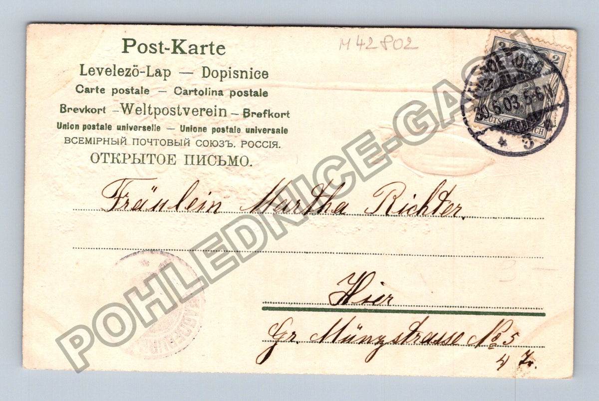 Pohlednice Německo Pfingsten chrousti bříza (M42802)