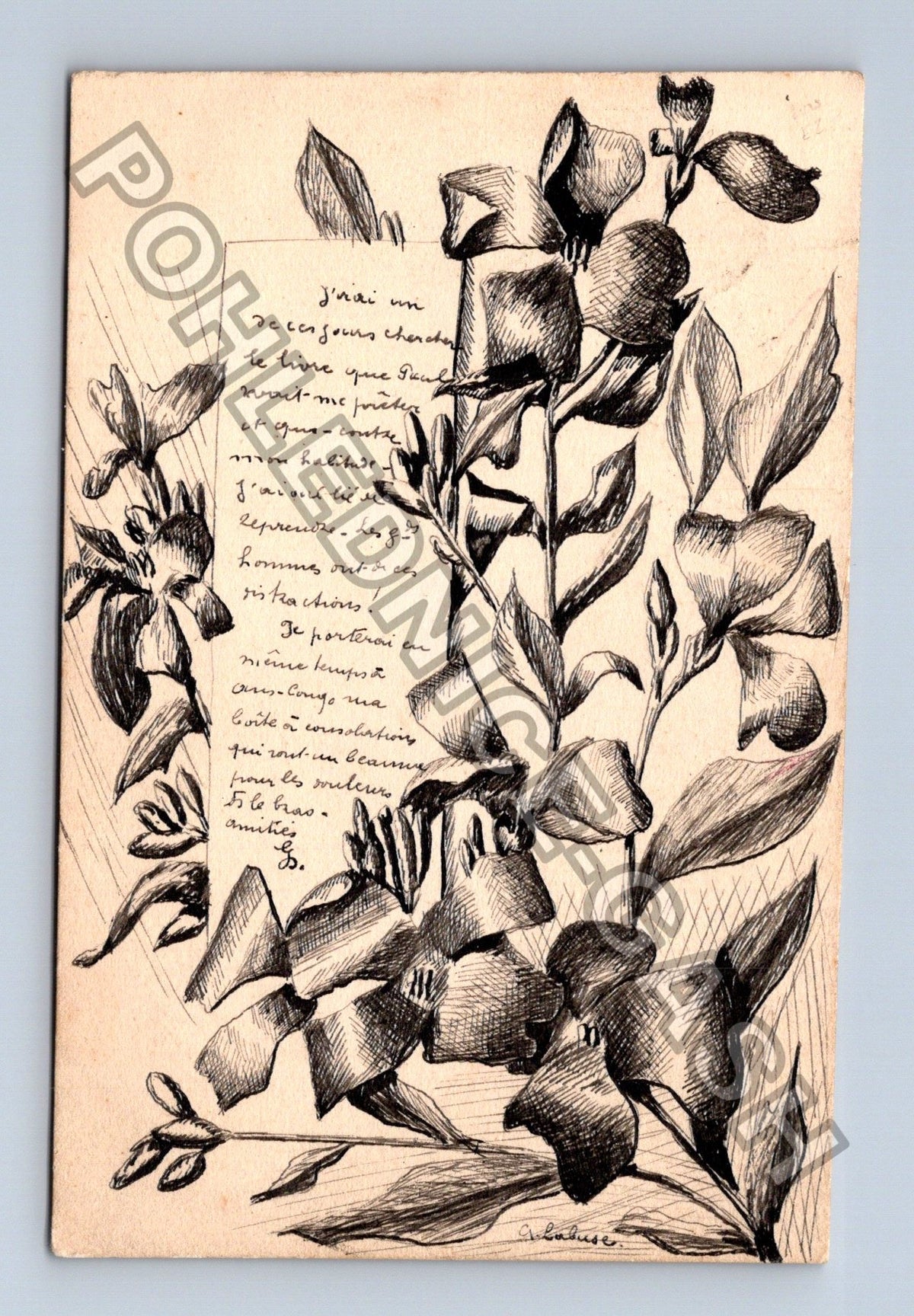 Pohlednice Francie květinový motiv text 1904 (M42812)