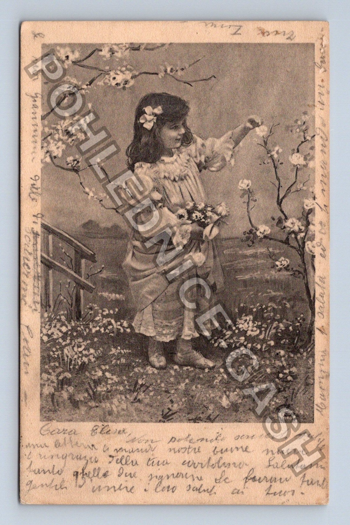 Pohlednice Itálie dívka s květinami rozkvetlý strom 1903 (M42820)