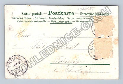 Pohlednice Německo Gruss aus Trünzig růže (M42825)