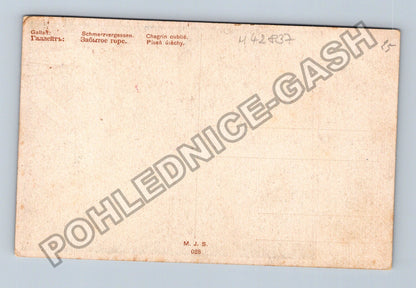 Pohlednice Schmerzvergessen Chagrin oublié M J S 02S (M42837)