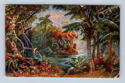 Pohlednice Německo Kolonialkriegerdank Kamerun 1915 (M42839)